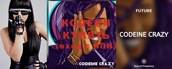 прущие грибы Бугульма