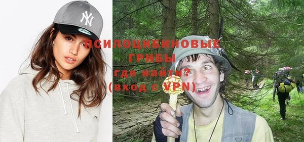 бошки Бородино