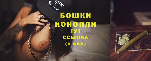 бошки Бородино