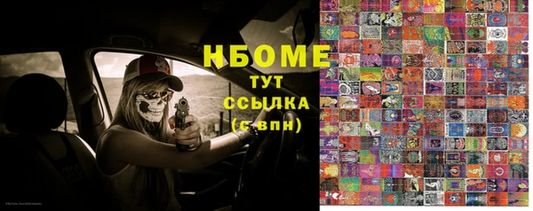 прущие грибы Бугульма