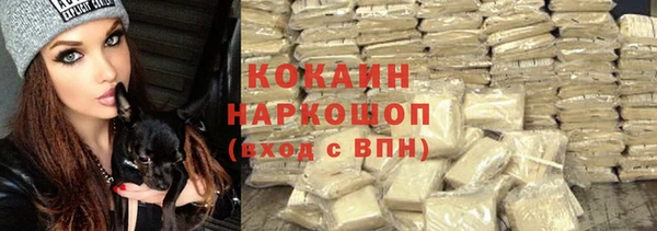 прущие грибы Бугульма