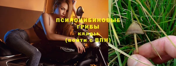 прущие грибы Бугульма