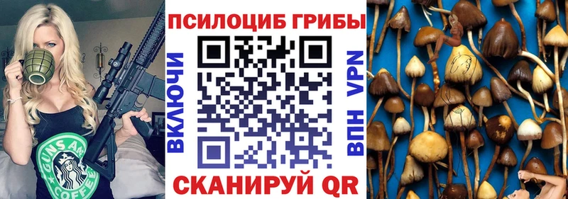 Псилоцибиновые грибы GOLDEN TEACHER продажа наркотиков Ессентукская